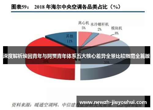 深度解析埃因青年与阿贾青年体系五大核心差异全景比较指南全篇版 深度解析埃因青年与阿贾青年体系五大核心差异全景比较指南全篇版